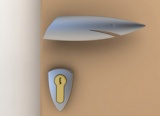 Endangered Door Handles
