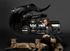 Gladiator's Bike