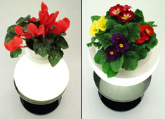 Pedestal Lamp