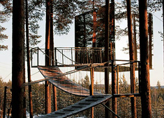 At Home in the Trees