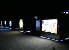 Red Bull Illume by Fullaluv Studio