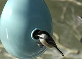 Egg Bird House by Schatz Studio