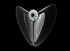 nDoo - Supplementary Immune Gadget by Patrick Gunther
