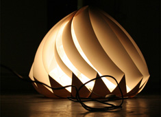 Floor Lamp Provides Controlled Lighting by Alice Van 