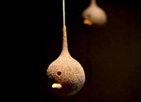 Human Ash Bird Feeder by Nadine Jarvis