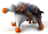 HotDoll - Love Doll for Dogs by Clement Eloy