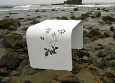 Botanist Table Bench Collection by Dario Antonioni & Brandon Lynne