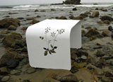 Botanist Table Bench Collection by Dario Antonioni & Brandon Lynne:: Continue Reading >>