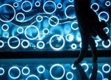 Anemix - 3D Effect Lighting System by Ximena Munoz & Paulina Villalobos