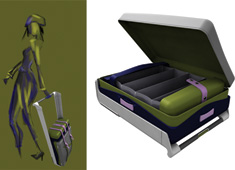 Luggage For The Style Conscious