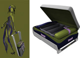 Luggage For The Style Conscious