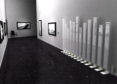 Flowering Radiator by Kayleigh Metcalf