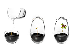 Greenthumbs On Miniature