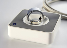 The Ring Of Security