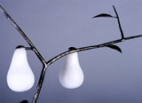 Go Ahead And Pick A Light