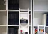 Spruce Up That Bookcase With Ladders