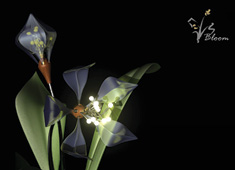 Blooming Lights