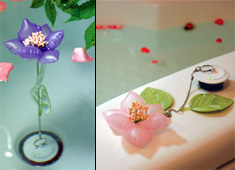 A Flower To Test The Waters