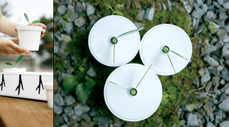 Bitki saatleri              Tasarımcı :  Ji-Hye Park
