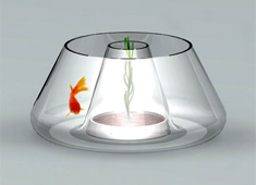 Creative and Friendly Environment for Fish