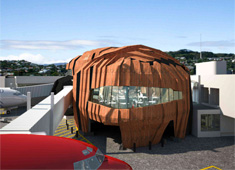 Kiwis Have Nuts...