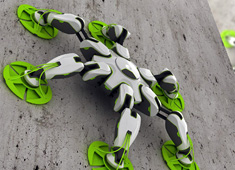 Wall Climbing A Cinch