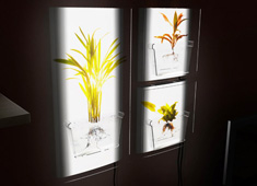 A Science show in your home