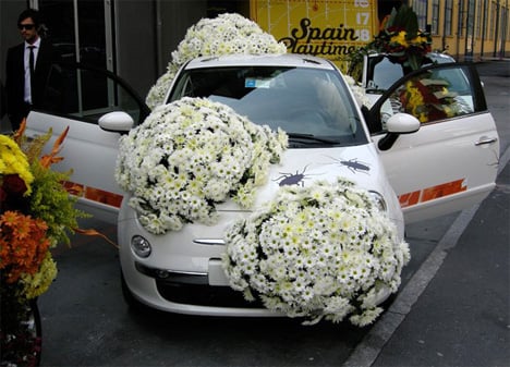 ماشین عروس با سوسک