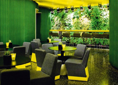 Jungle Love, Swedish Style