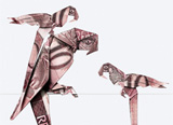 Bend to your will design::Continue Reading >>