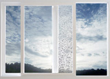 OMG Window With Built In Squeegee