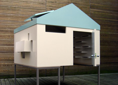 Fort Focus