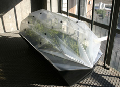 Green Green House