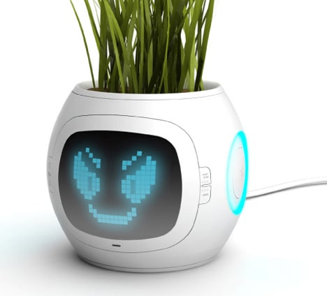 Image of digital plant thermometer pot usb