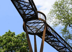 Bridge to Photosynthia