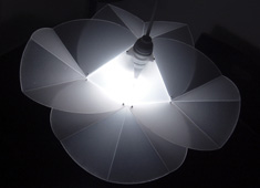 Ambiguous Light