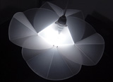 Ambiguous Light