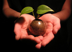 This Little Seedling