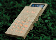 Timbercalls