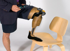Eames Inspired Prosthetic Leg