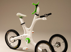 Trike for Disabled Tikes