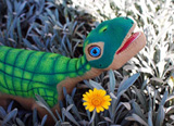 Prehistoric Roarrr! Pleo Review