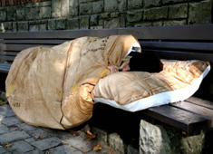 Cardboard Comfort