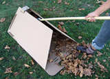 Rake and Take to Compost