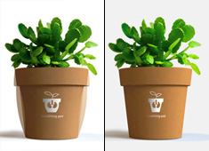Breathing Plants Demand Attention