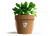 Breathing Plants Demand Attention