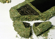 Now That's a Grassy Phone