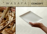 Environmentally Friendly Paper Plates