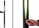 Unzip Fully and See The Light