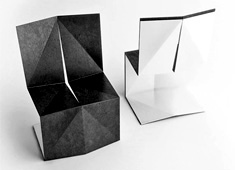 I'm An Origami Master!